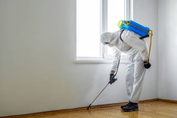 Best Pest Control Near Me in Beach Park, IL