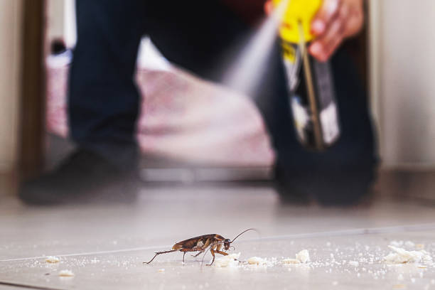 Professional Pest Control in Beach Park, IL